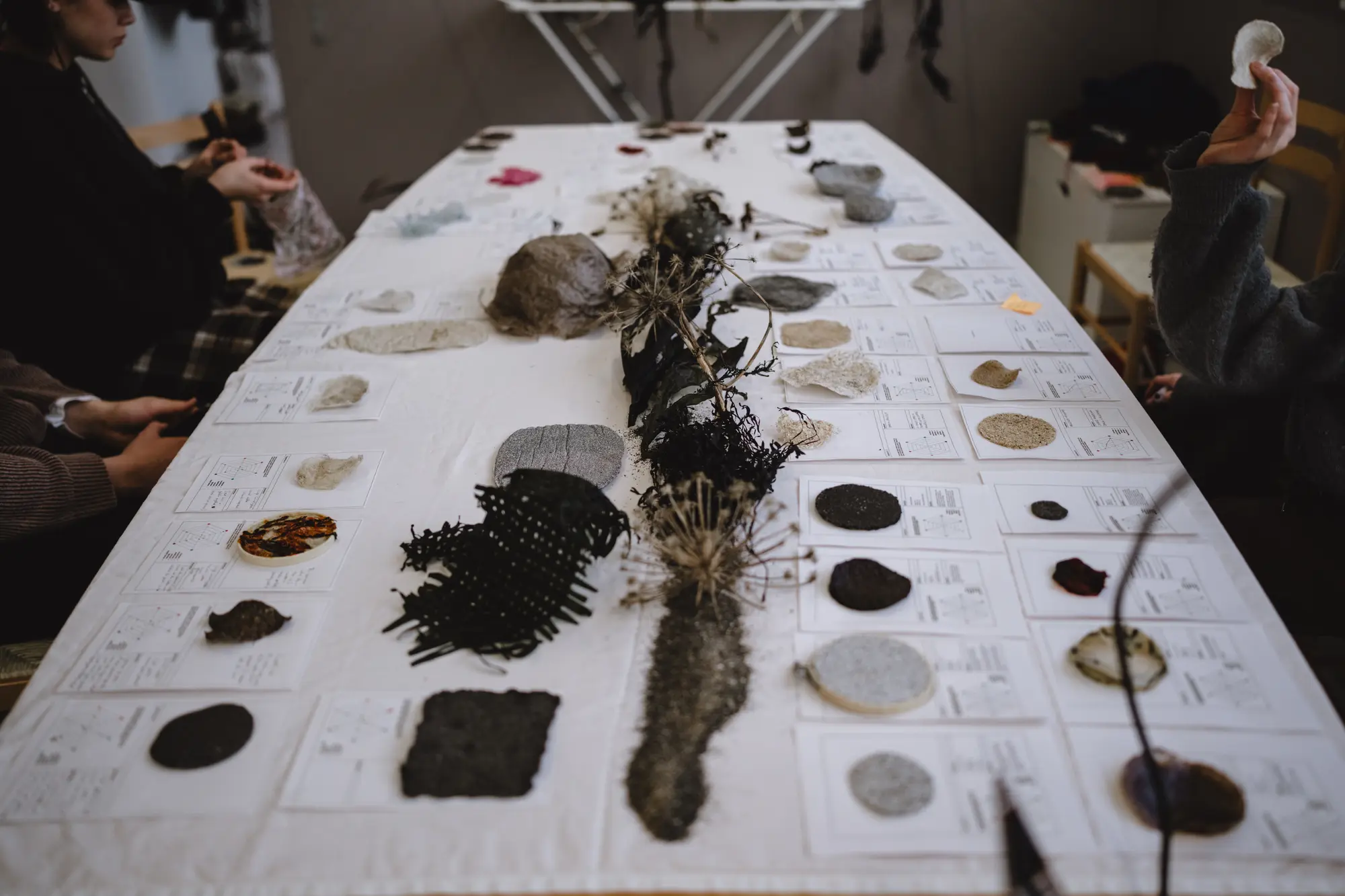 Una tavola imbandita con decine di campioni di biomateriali e fibre tessili disposti su schede tecniche per la catalogazione. Due persone ai lati del tavolo esaminano la collezione di materiali sperimentali in un laboratorio di design.