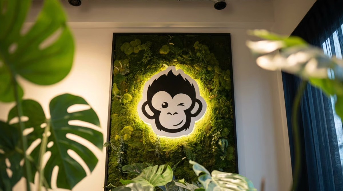 Displaying: Shopmonkey