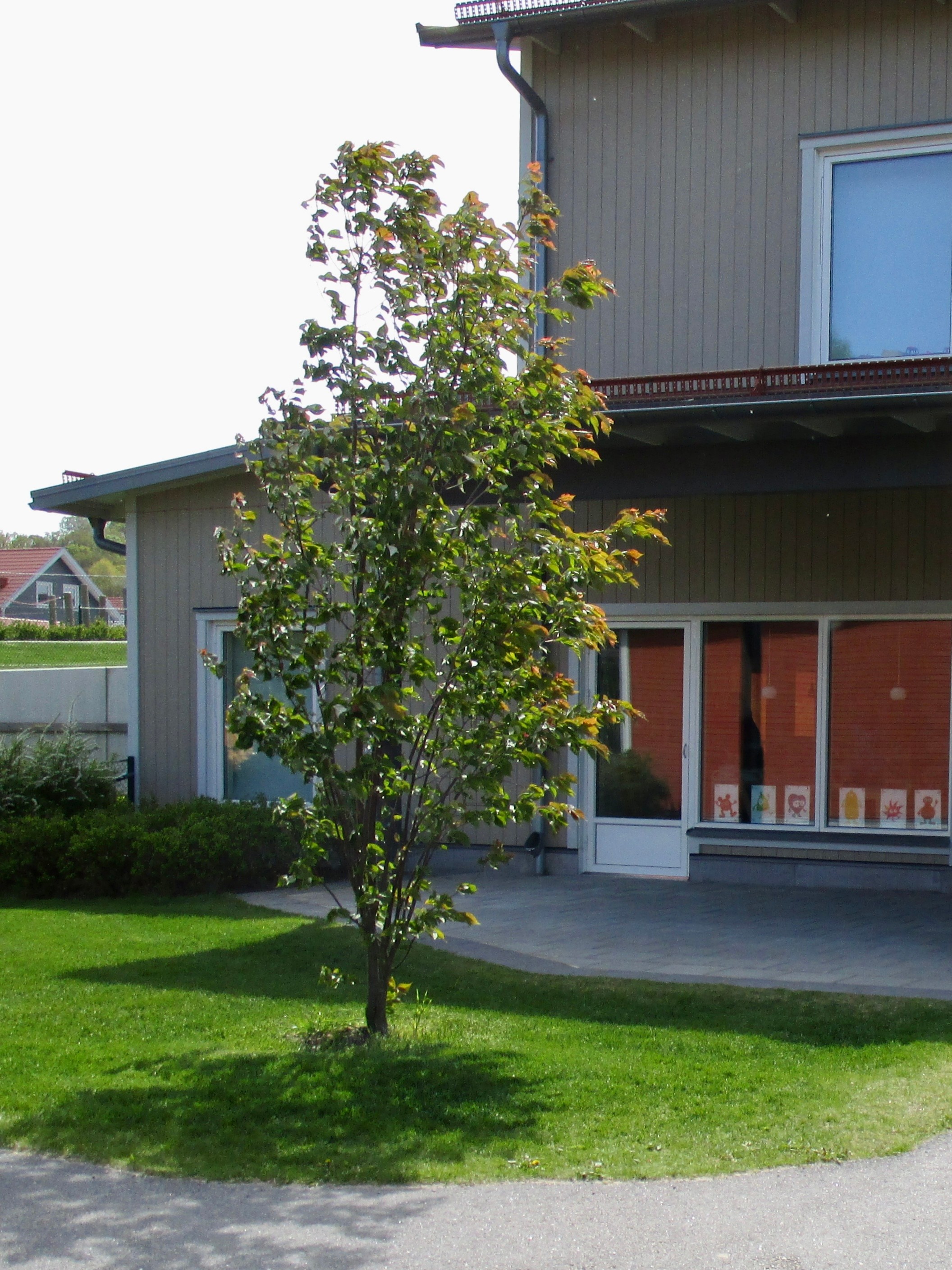 Algutstorps förskola