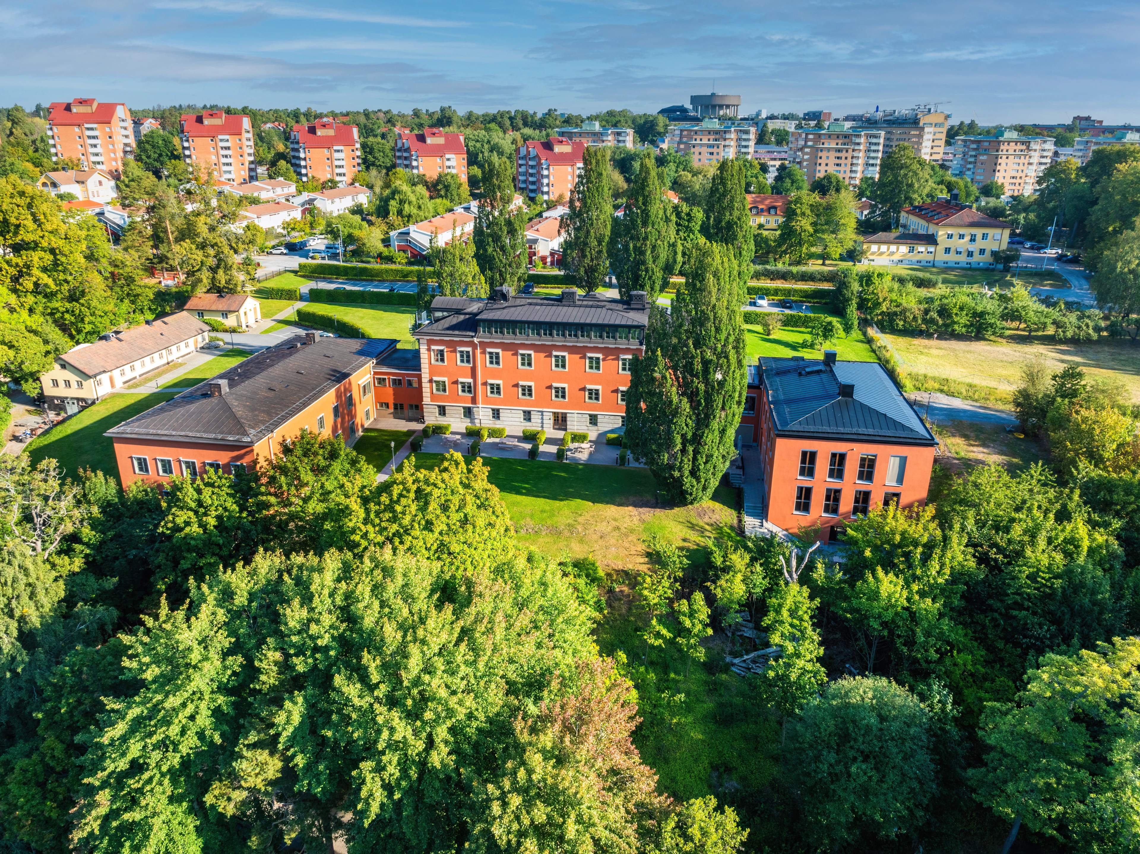 Växten