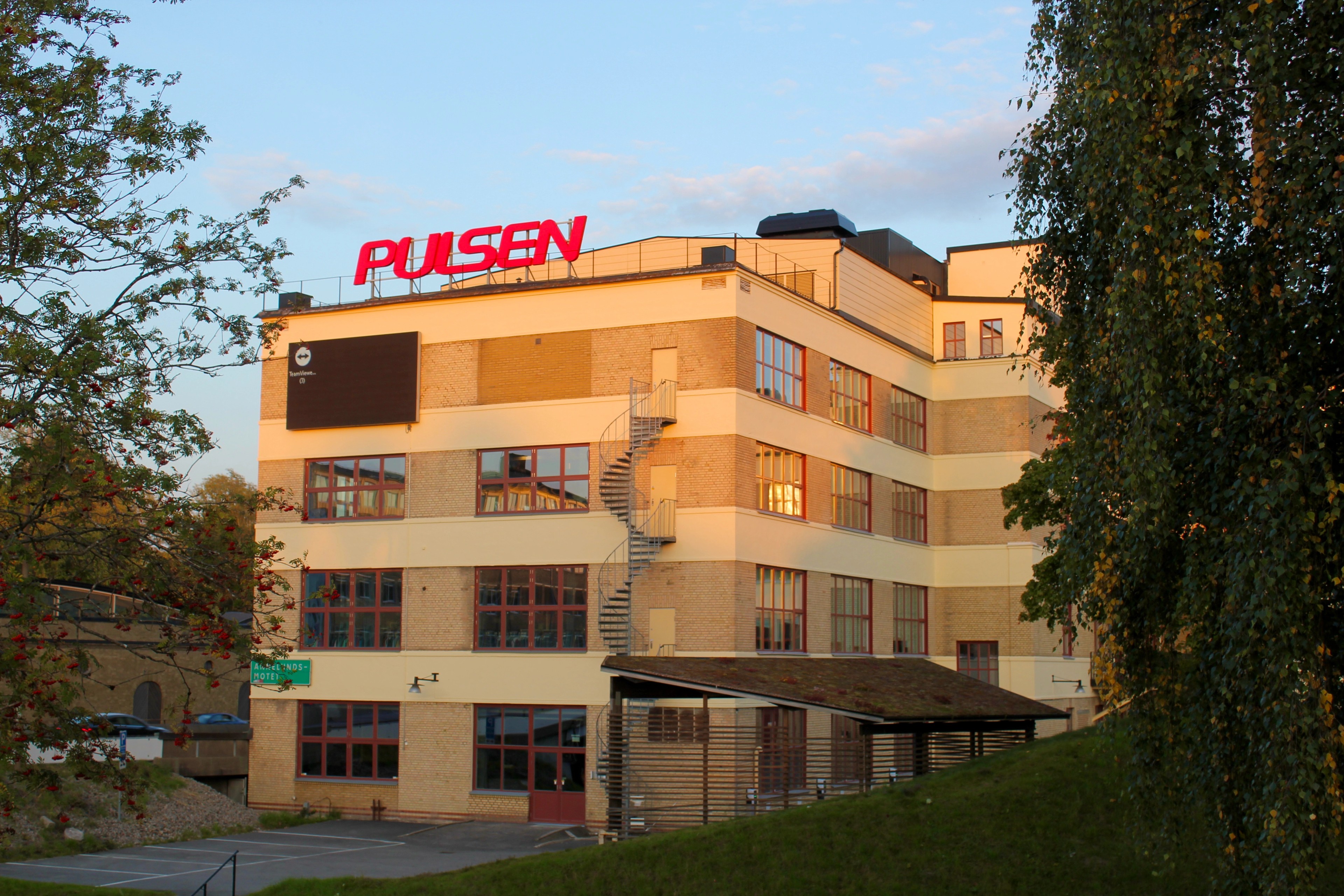 Pulsen