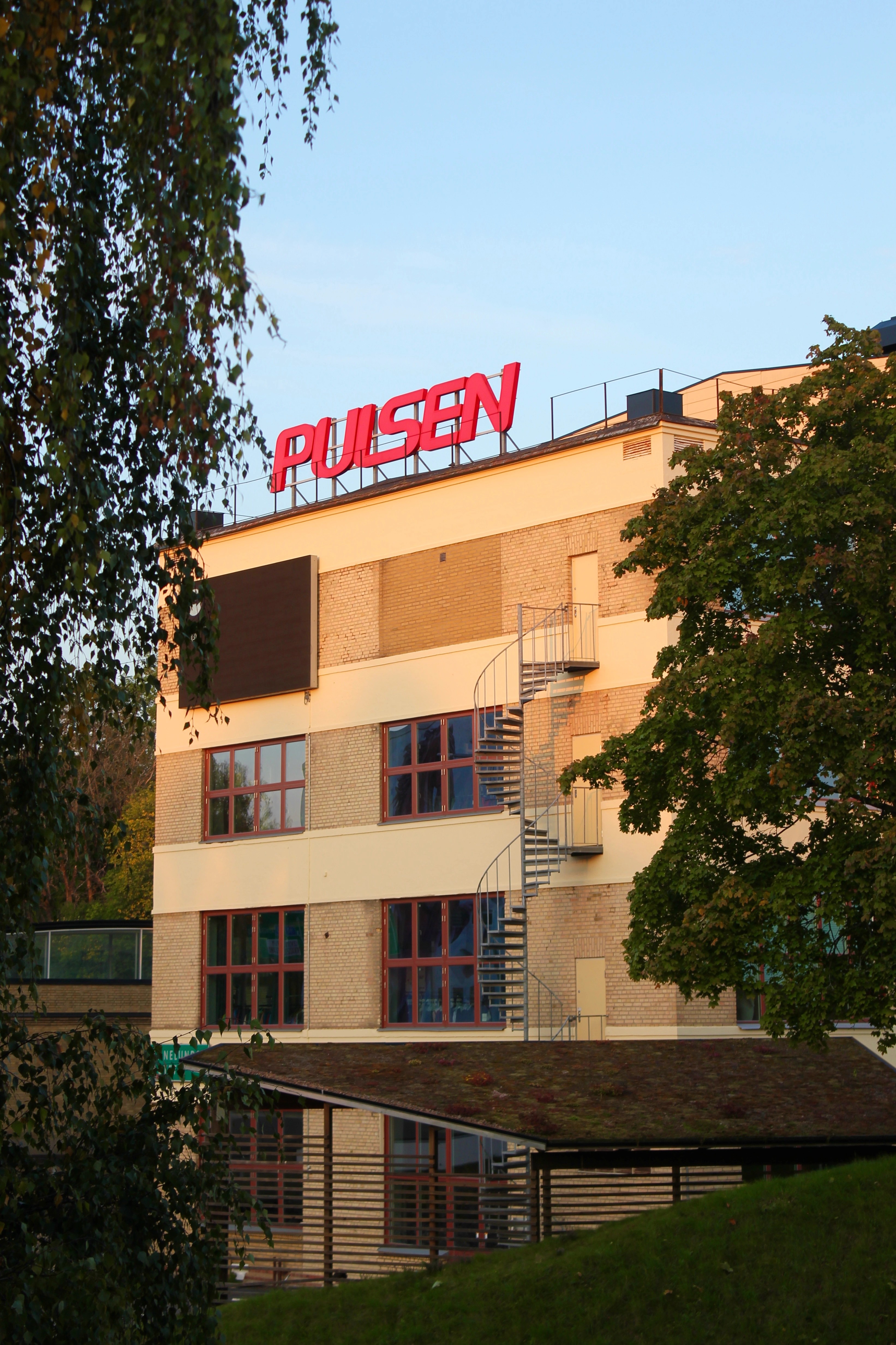 Pulsen