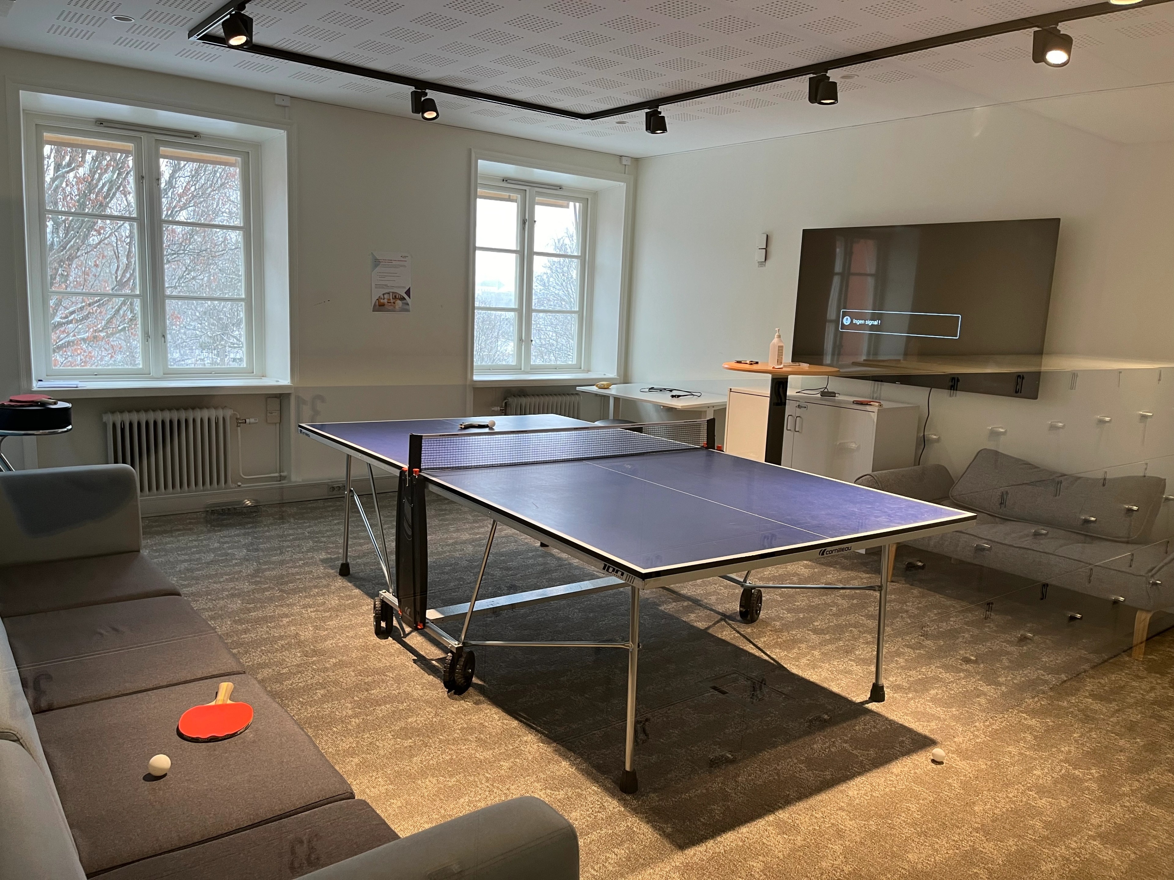 Växten