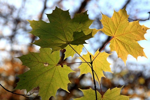 NaturStrukTour im Nationalpark Harz