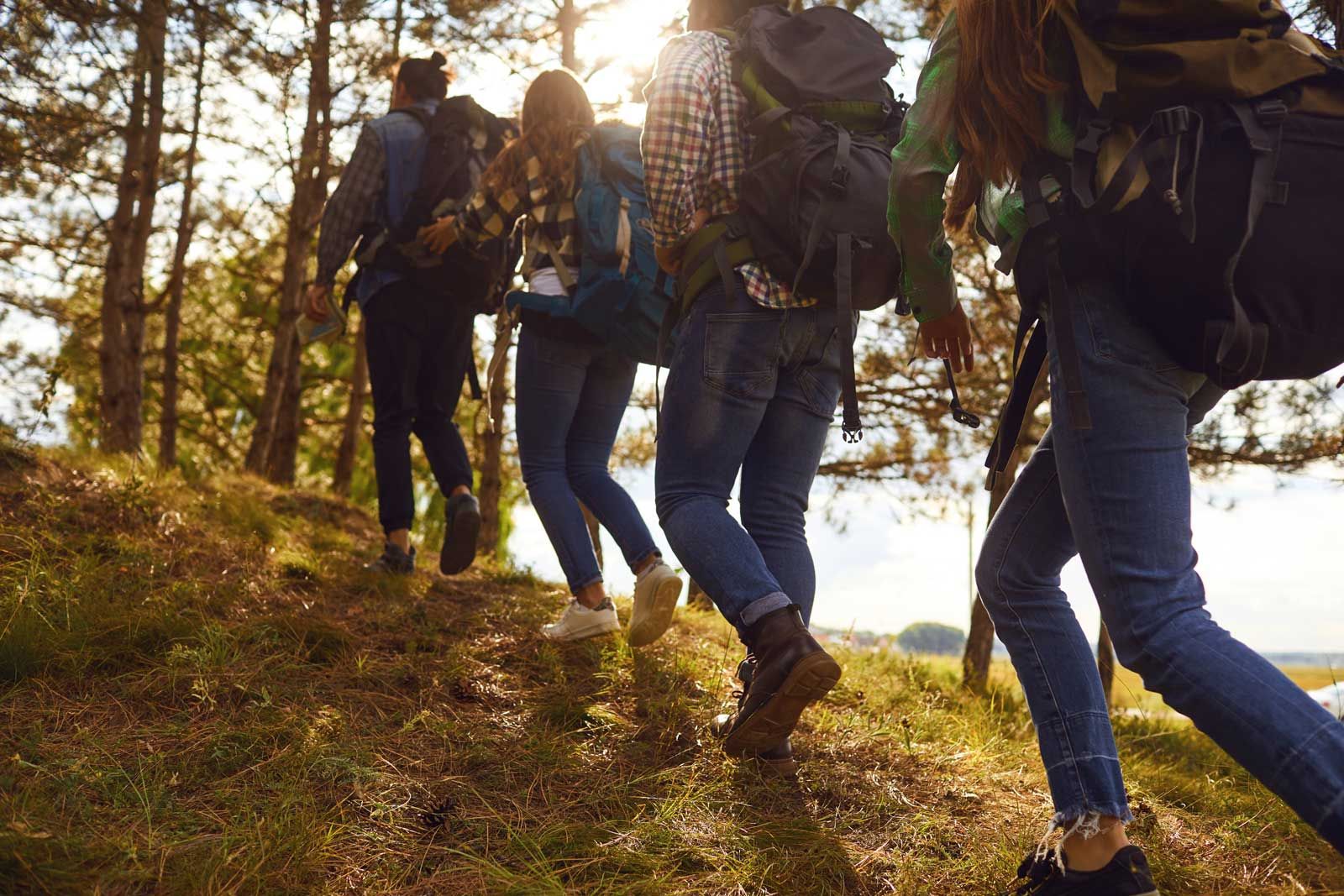 „Auf schönen Höhen” – Sportliches Wandern