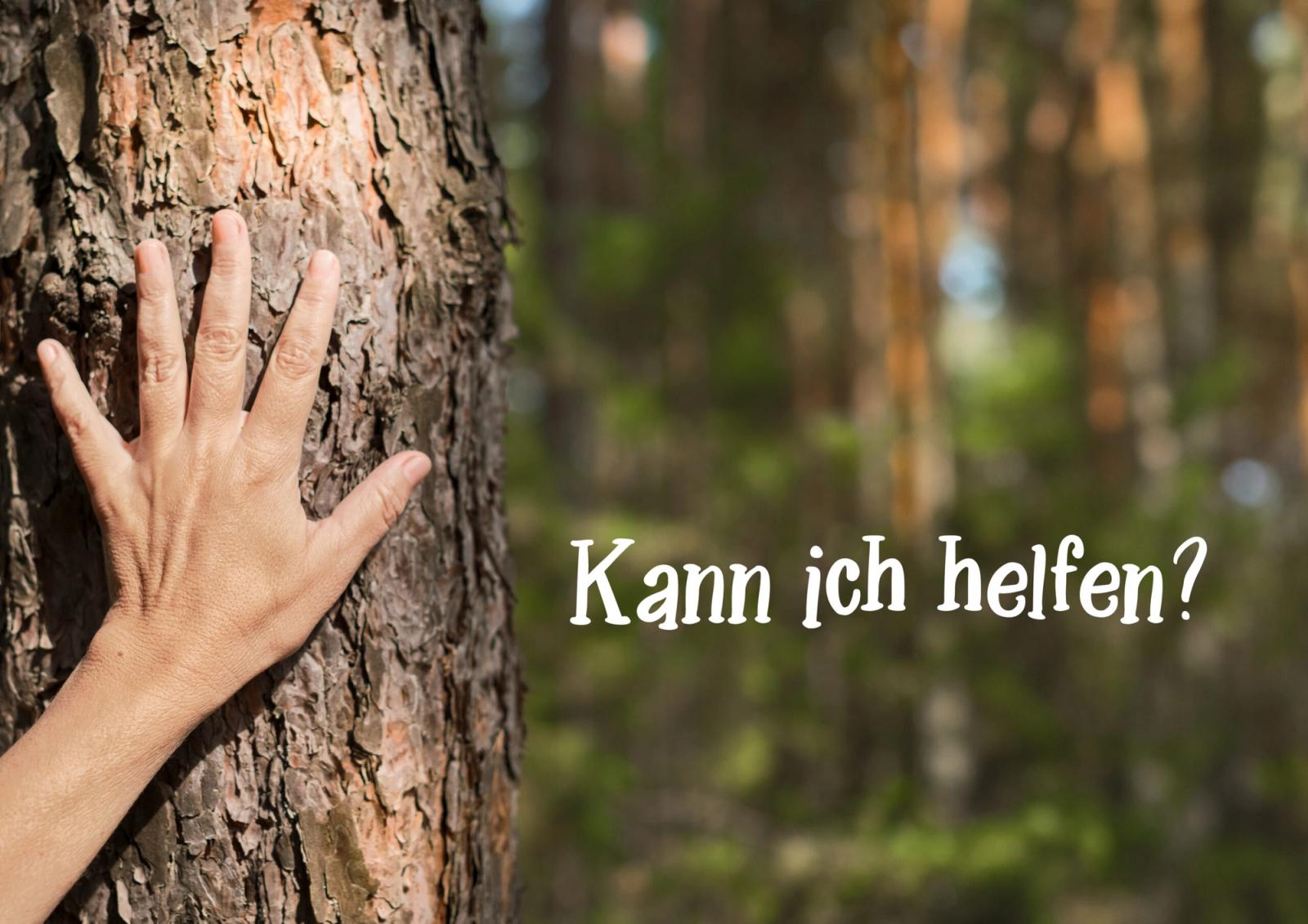 Pflanzaktion „MeinBaumMeinWald“