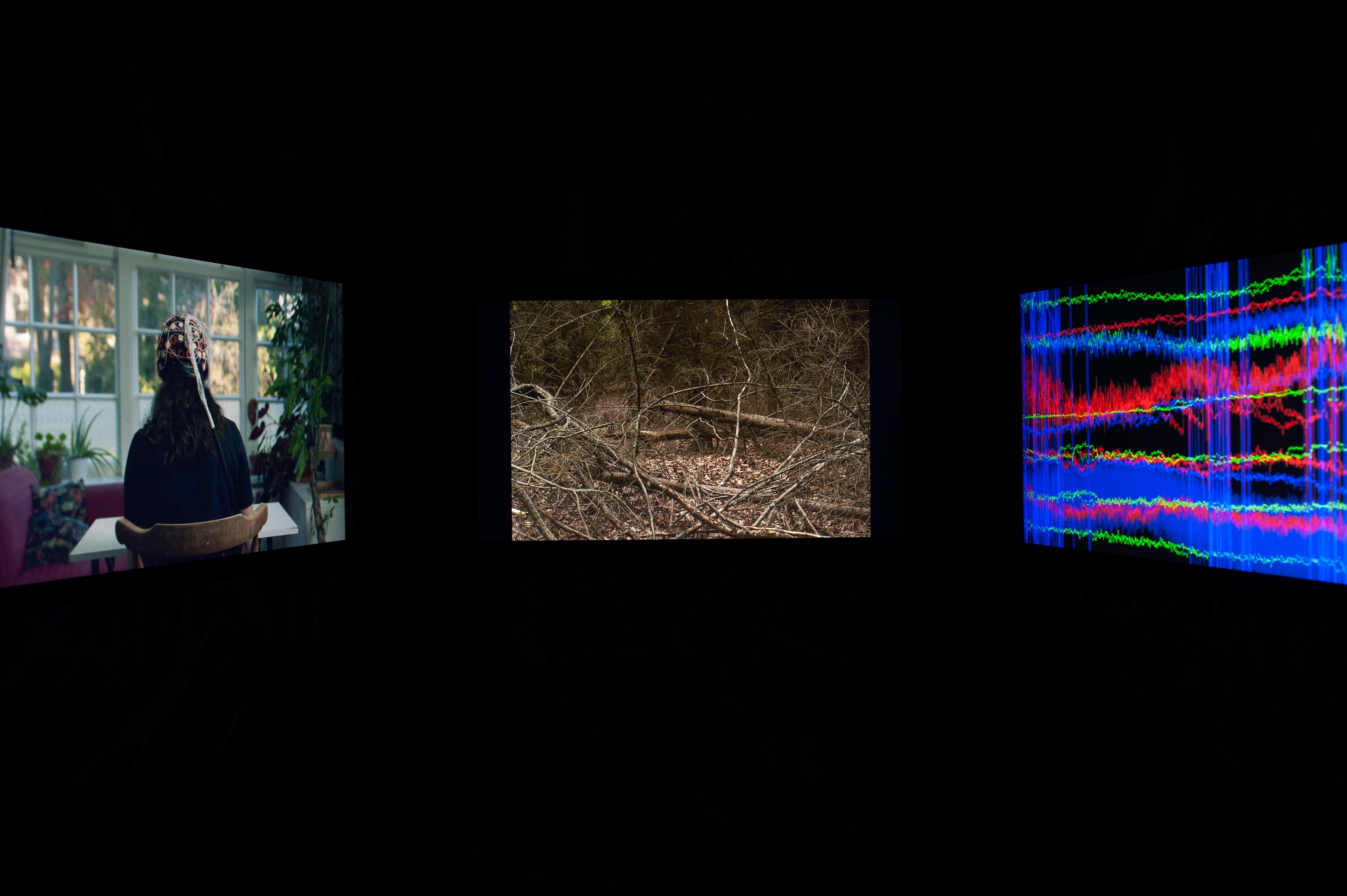 Photo of the video installation SYNC with 3 screens showing images.