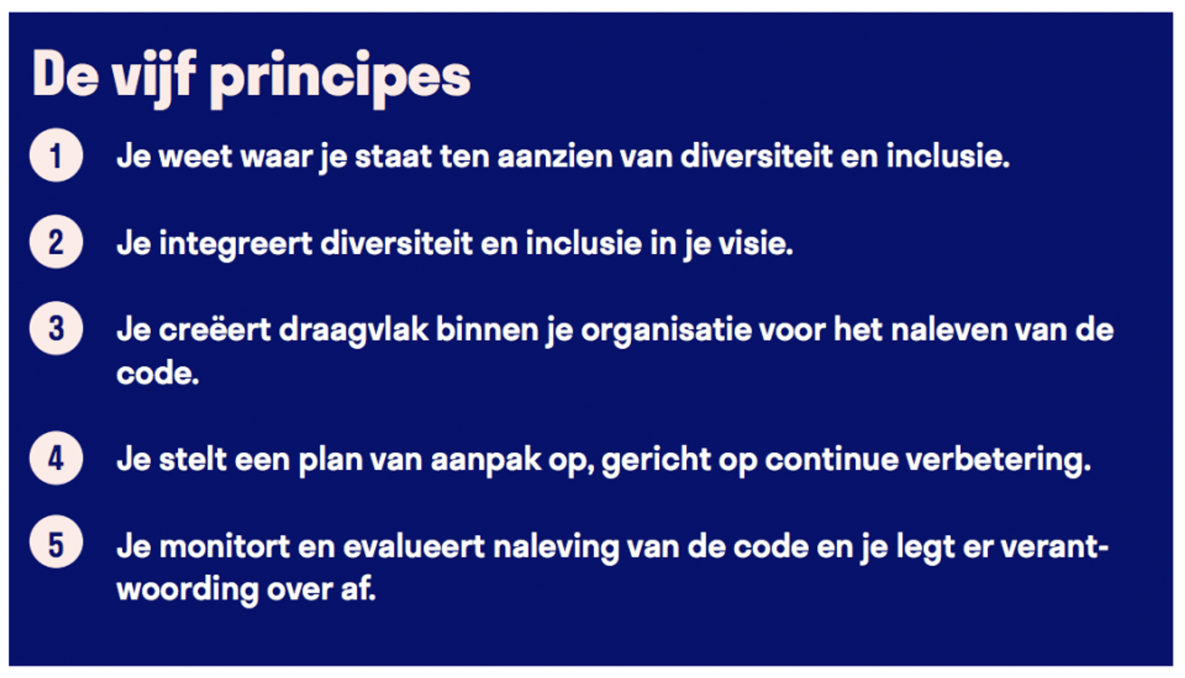1. Je weet waar je staat ten aanzien van diversiteit en inclusie. 2. Je integreert diversiteit en inclusie in je visie. 3. Je creëert draagvlak binnen je organisatie voor het naleven van de code. 4. Je stelt een plan van aanpak op, gericht op continue verbetering. 5. Je monitort en evalueert nalevering van de code en je legt er veranwoording over af.