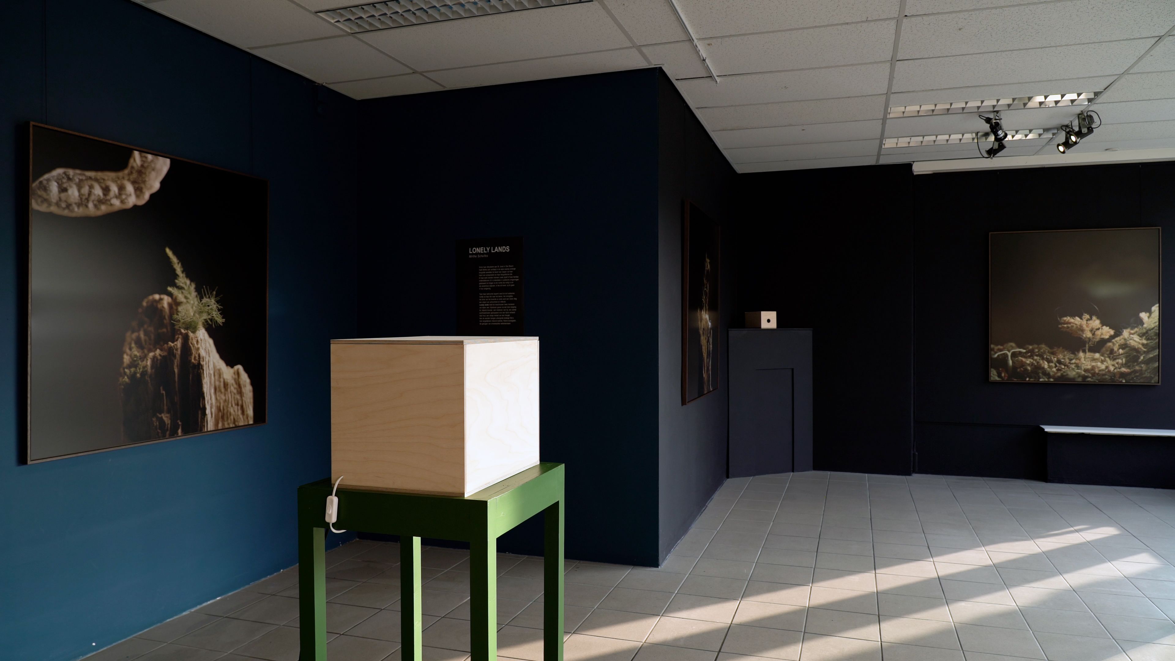 We zien een kijkdoos in de expositieruimte van de expositie Lonely Lands