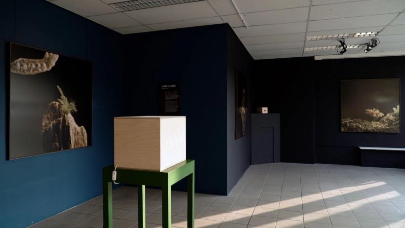 We zien een kijkdoos in de expositieruimte van de expositie Lonely Lands