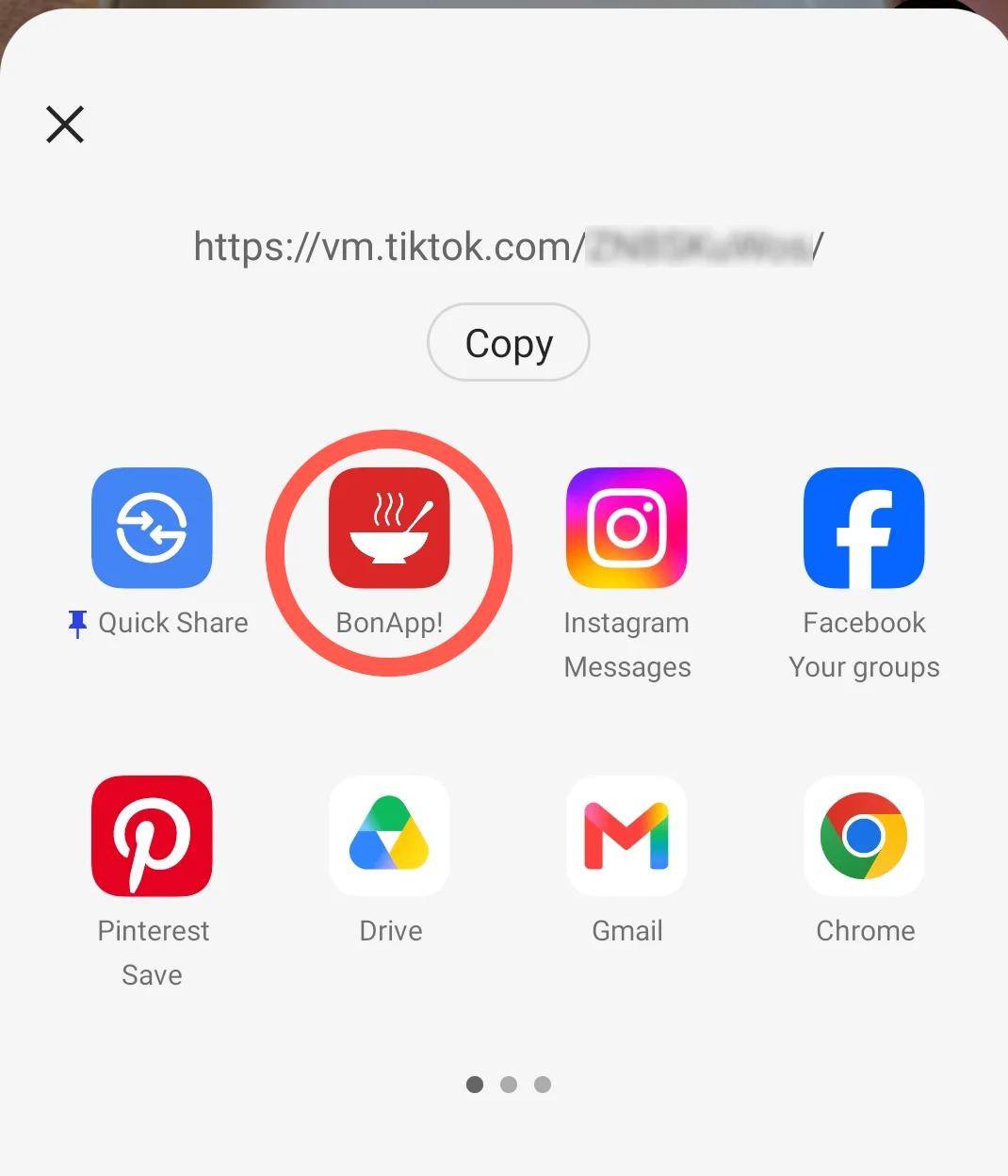 Device share sheet with BonApp! highlighted for a TikTok link.