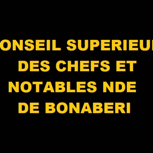 CONSEIL SUPÉRIEUR DES CHEFS ET NOTABLES NDE DE BONABERI