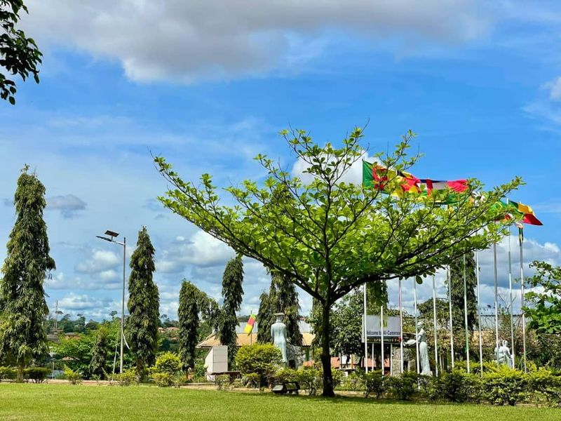 MISS MISTER IAI 2025