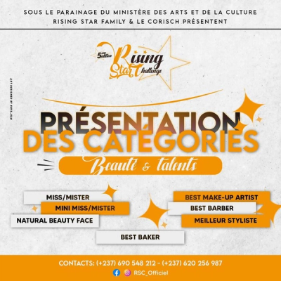 Presentation Categries