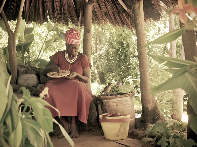Prix National de l'excellence en Médecine Traditionnelle au Cameroun.