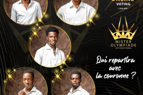 Debut des votes en ligne.