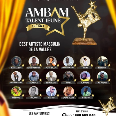 Best Artiste Masculin