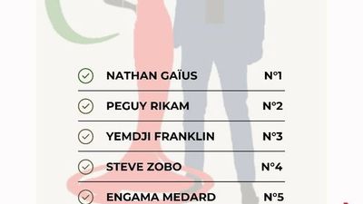 Liste officille des Misters