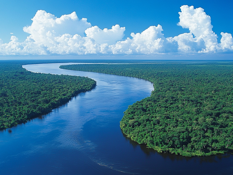 Ambam Talent Jeune Awards