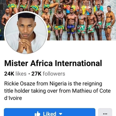 We're a franchise of Mister Africa International