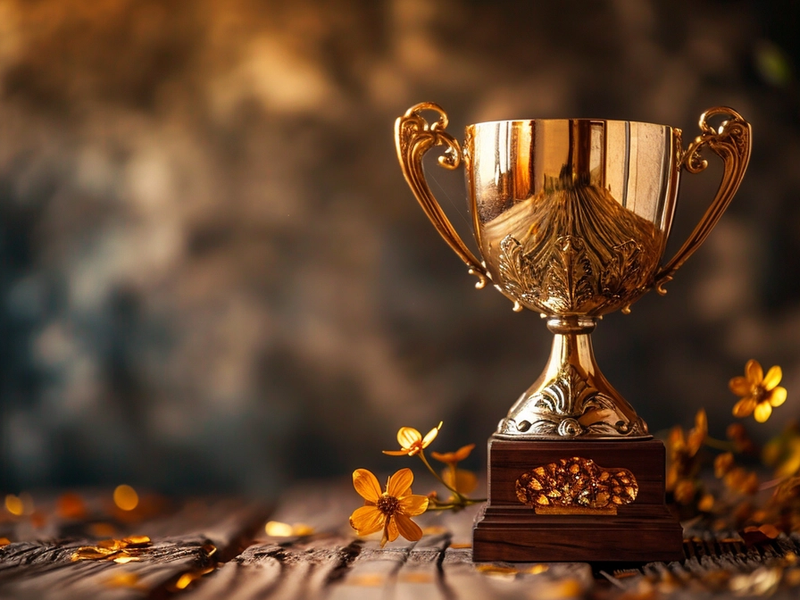 The Best Revelations Awards