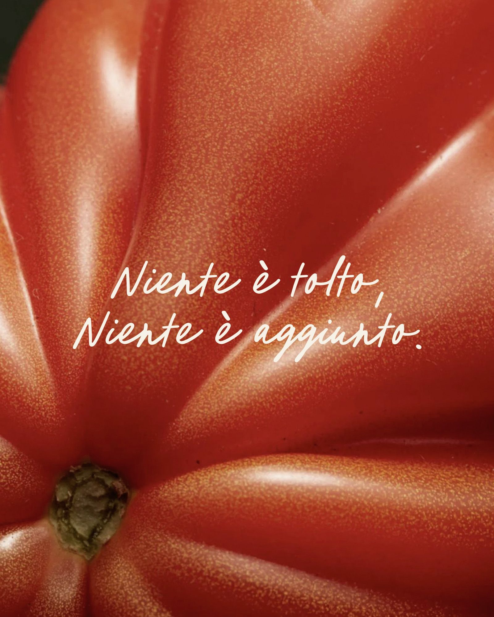 Macro detail of a red tomato with the tagline 'nothing taken away, nothing added'