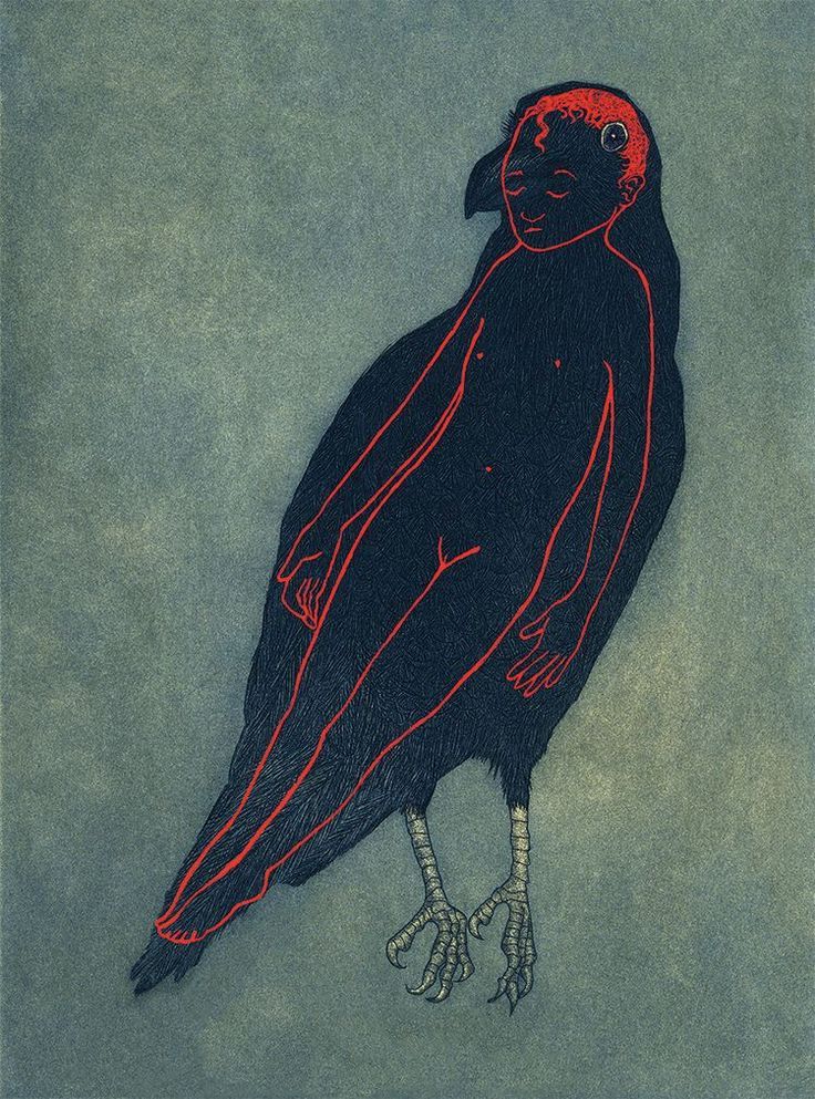 Corvus Anima