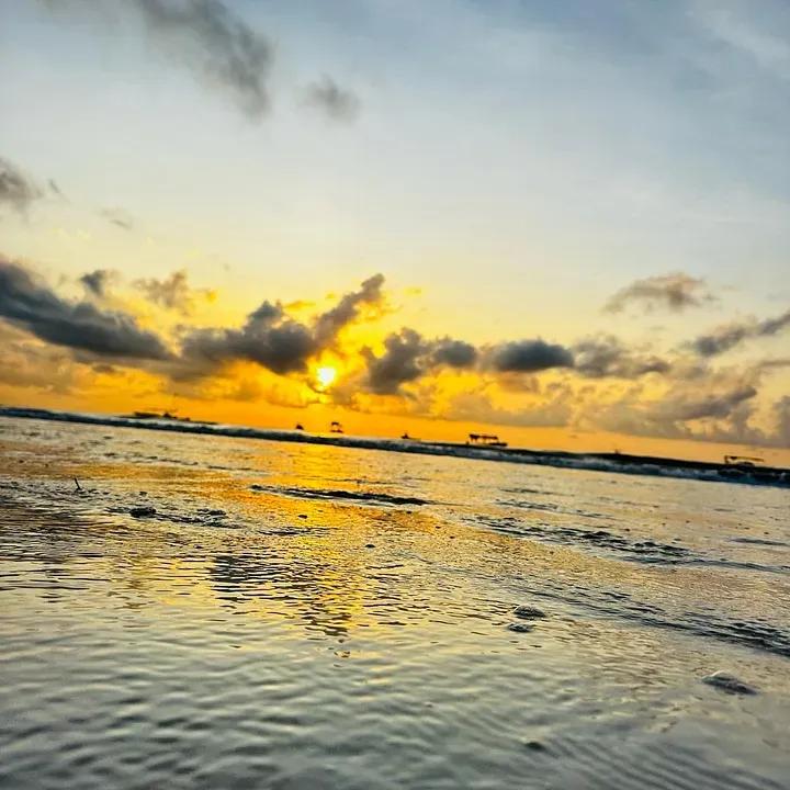 Embracing Life Transitions