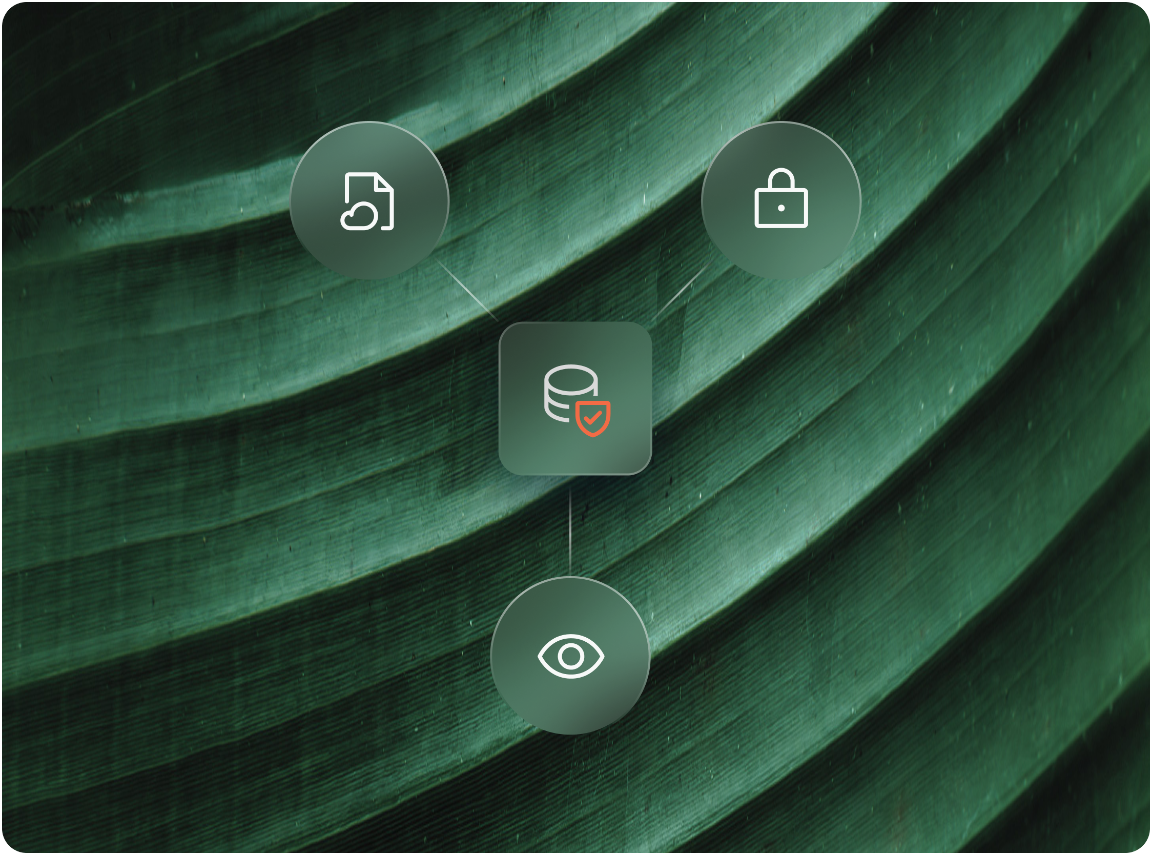 security icons on a leaf