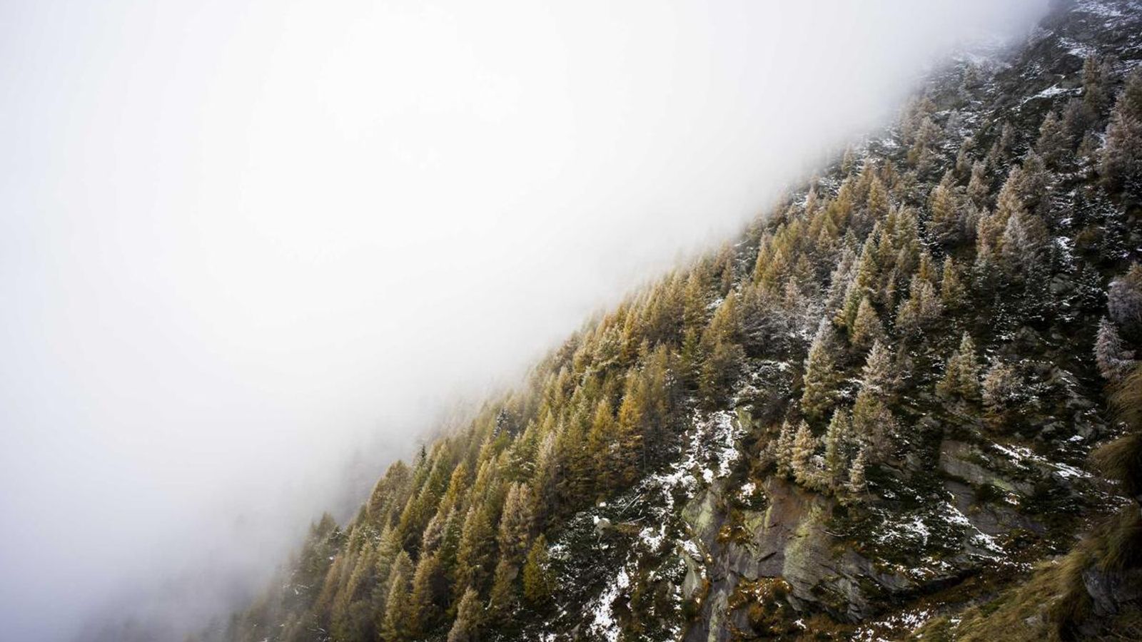 Illustration of a creator operations workflow