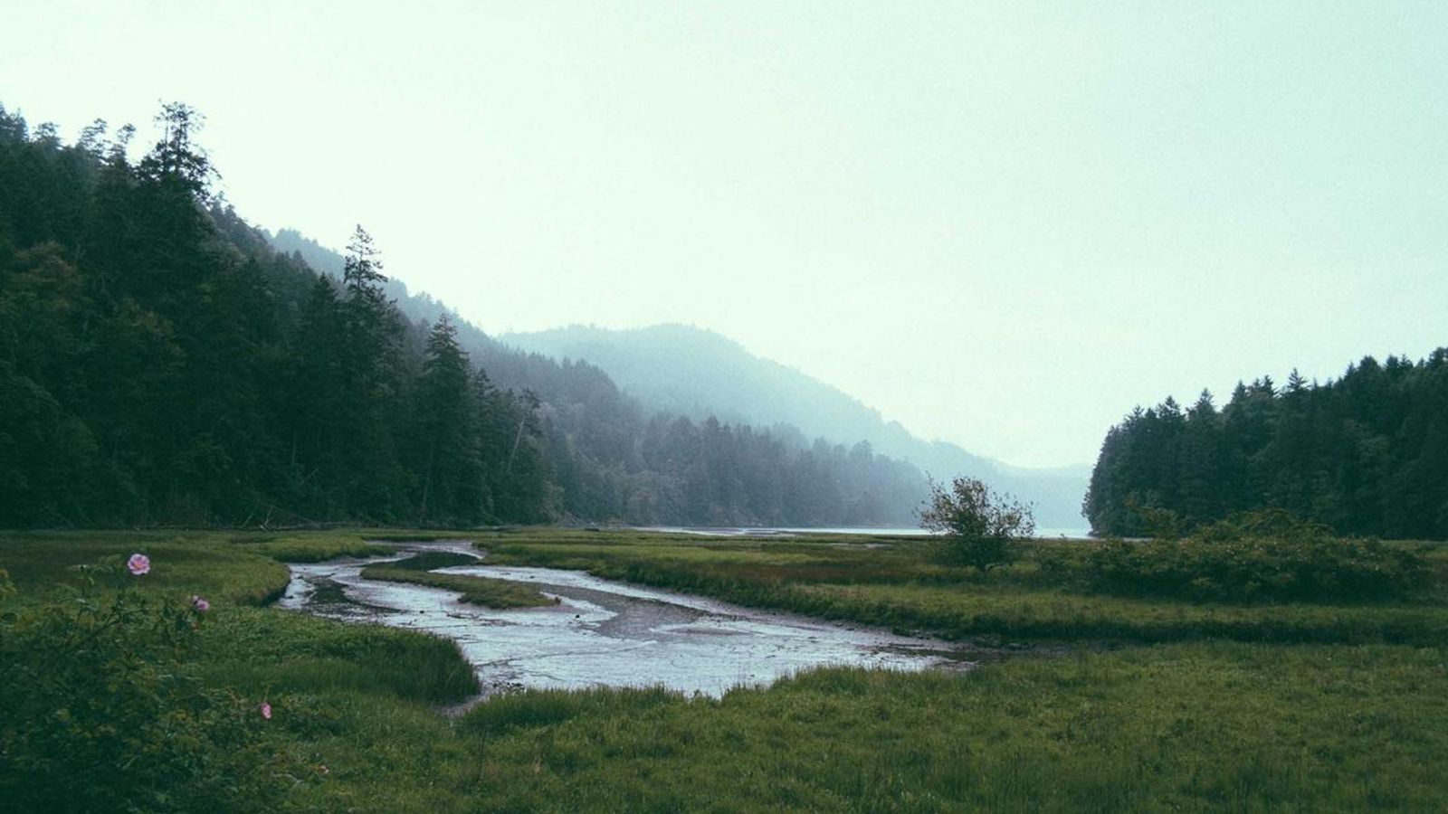 Illustration of a creator operations workflow