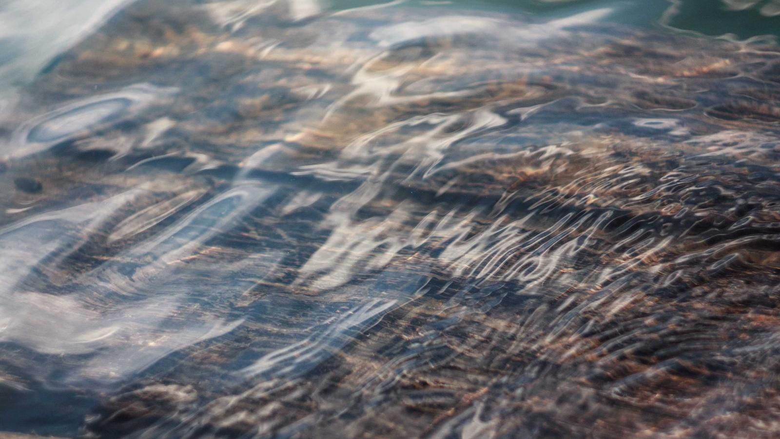 Workshop: Building a Repeatable Creator Program