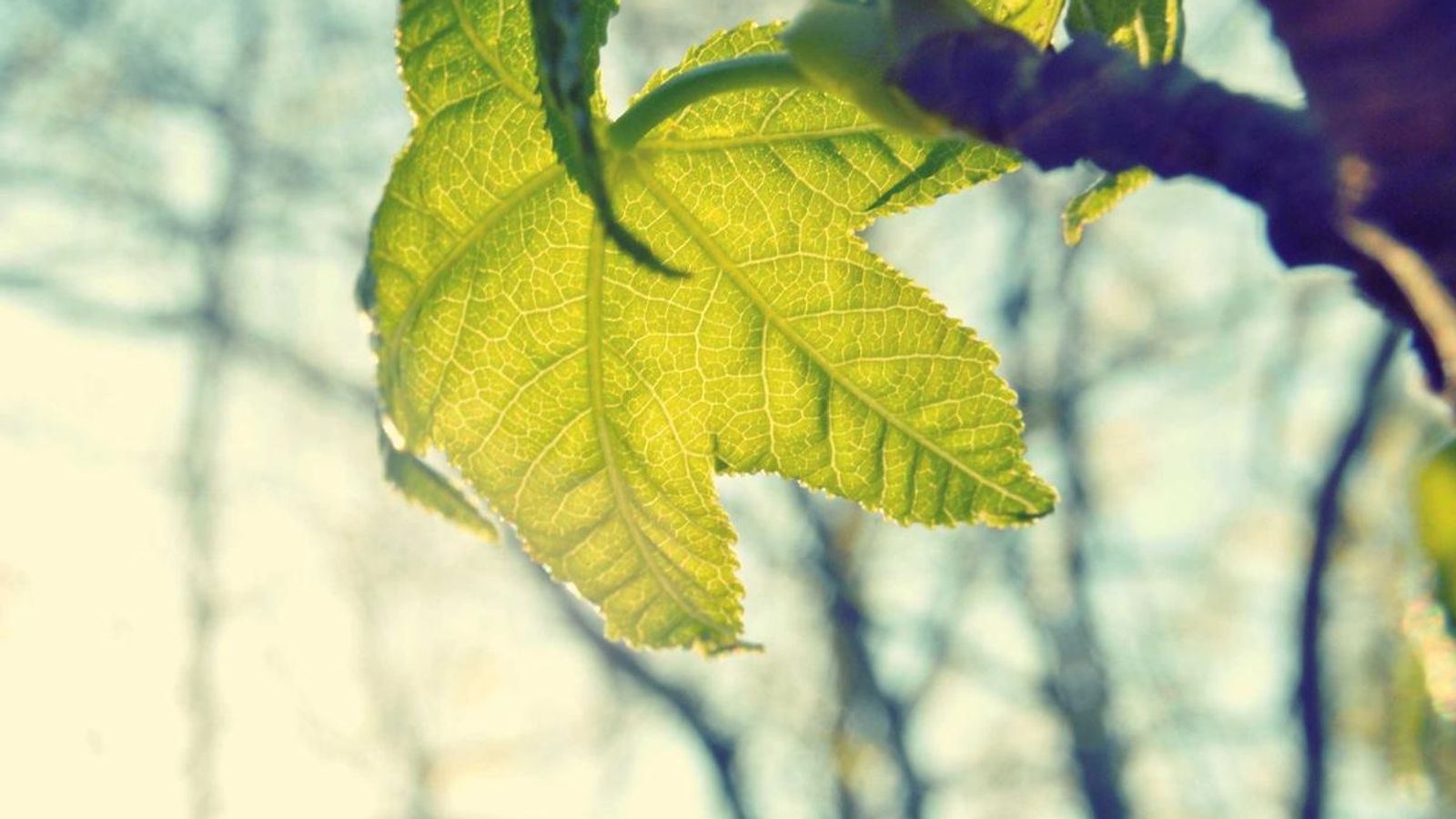 Illustration of a creator operations workflow