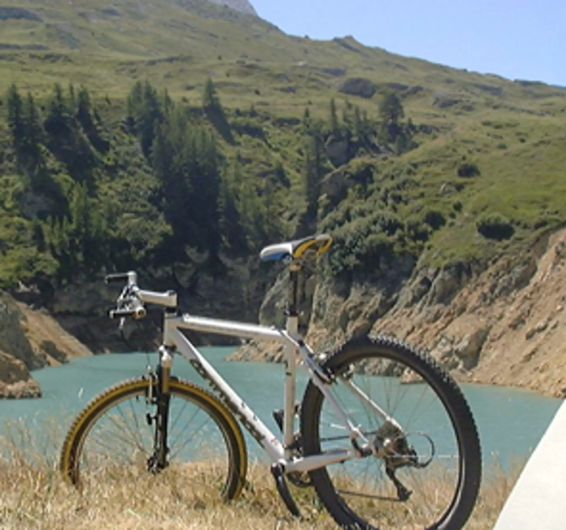 Crepa nel telaio della bici da strada