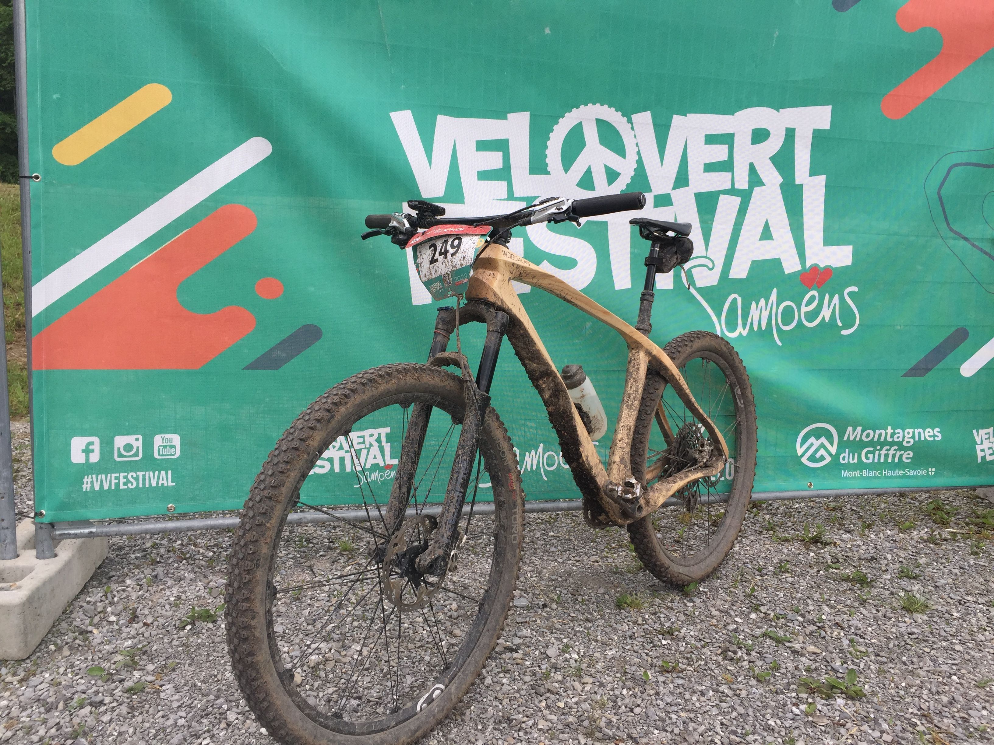 YGGY - Terra thumbnail 4