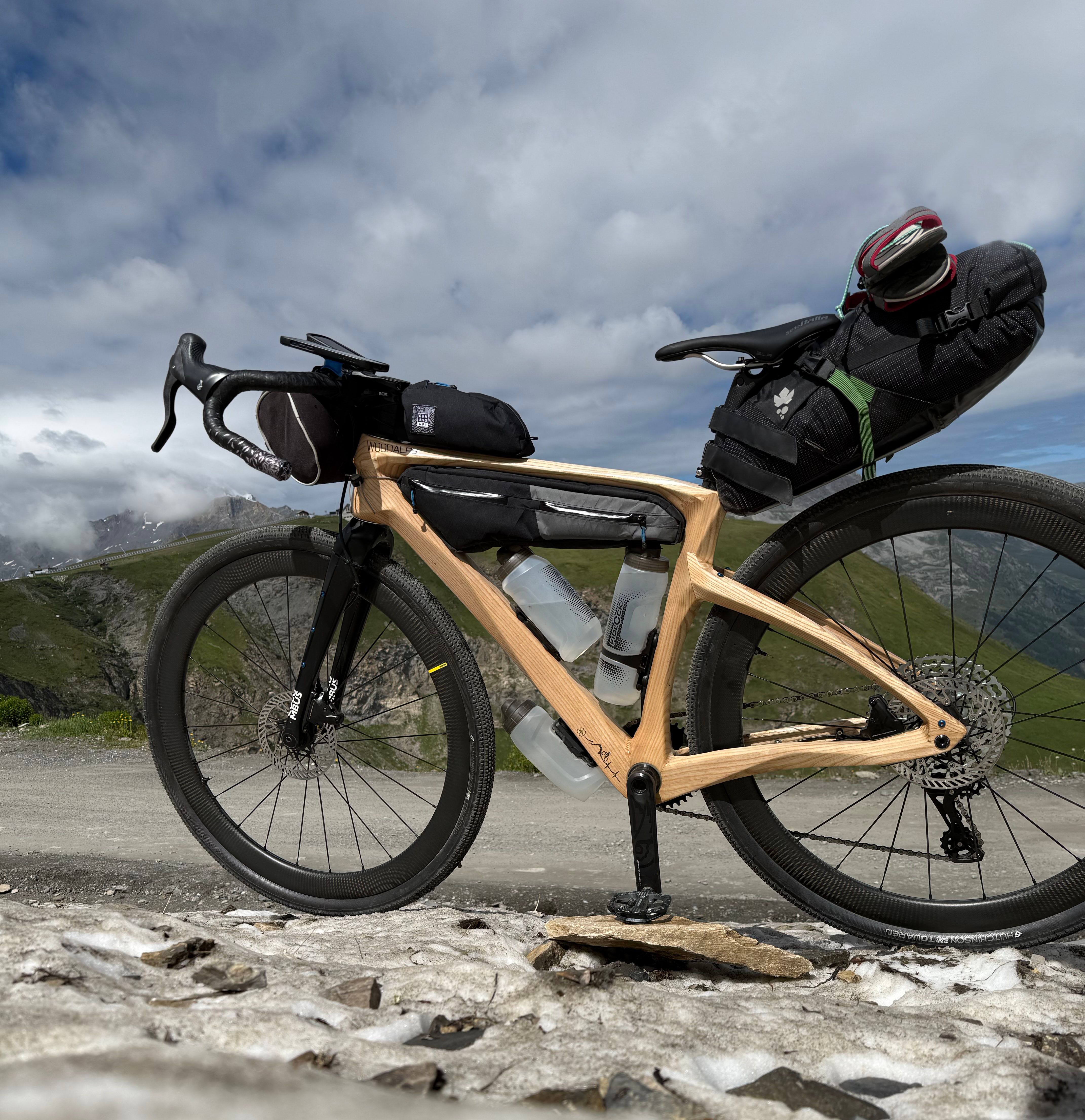 BRANCHY - Base thumbnail 3