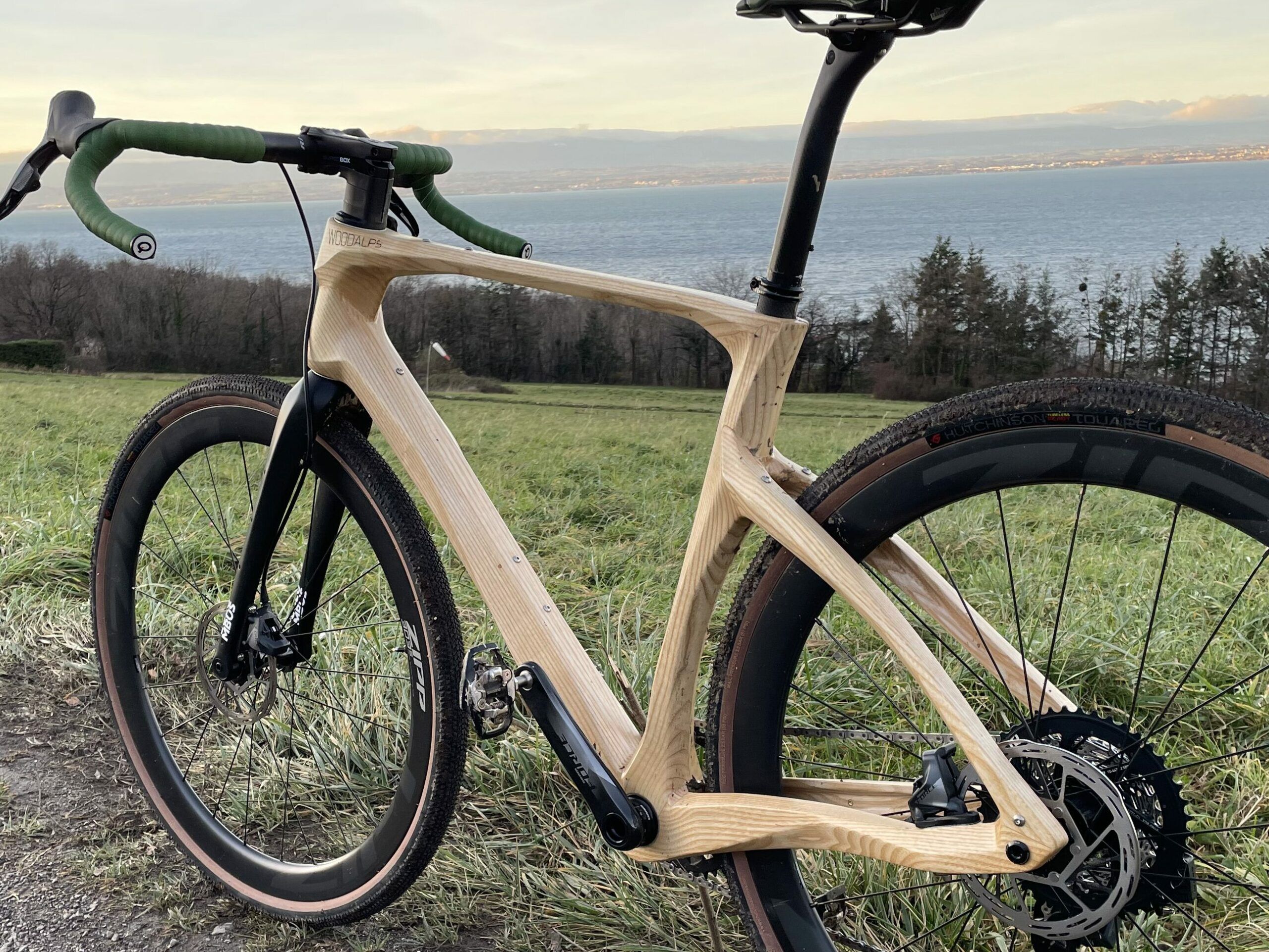 gravel wooden bike branchy 