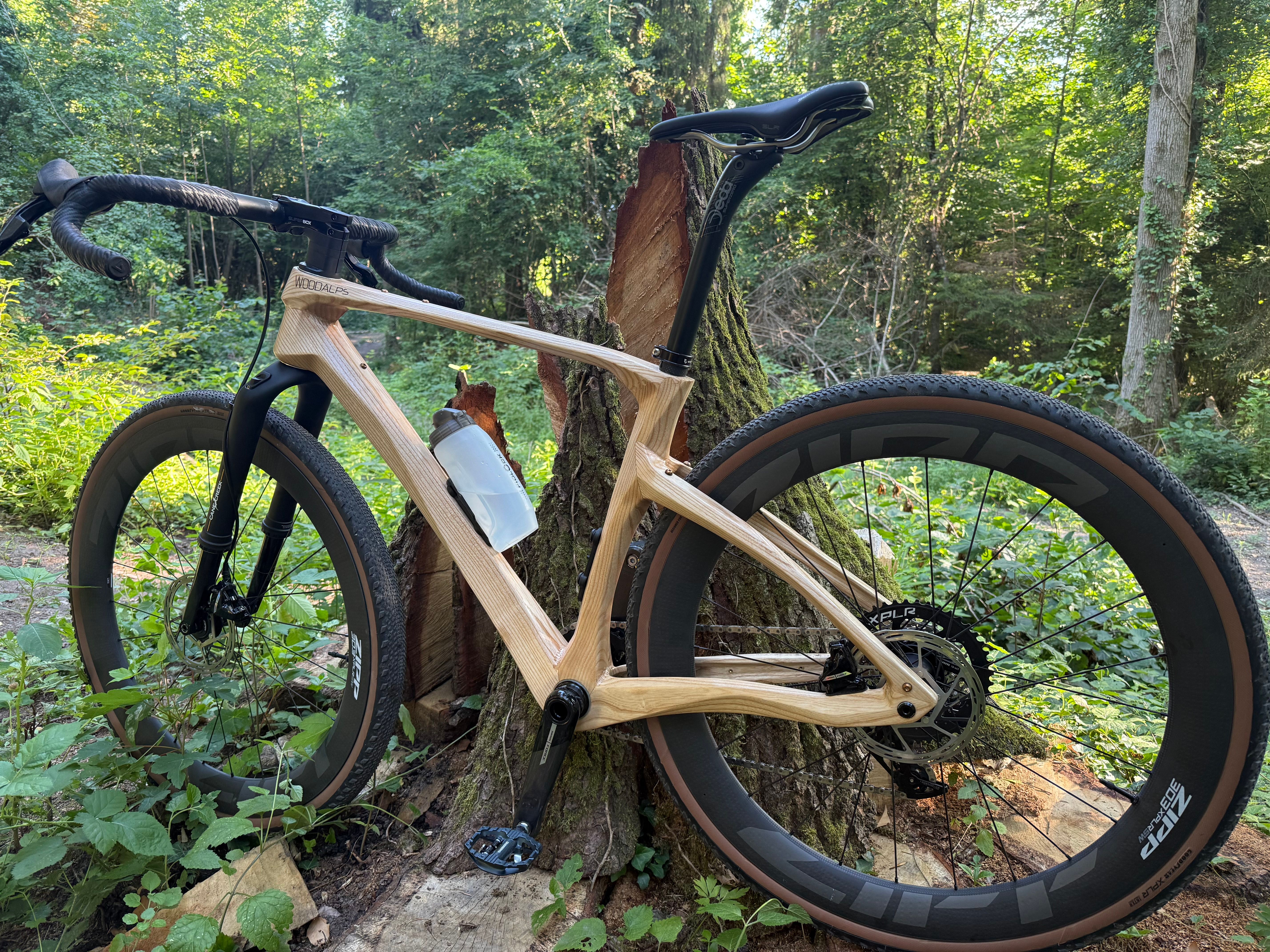 BRANCHY - Base thumbnail 5