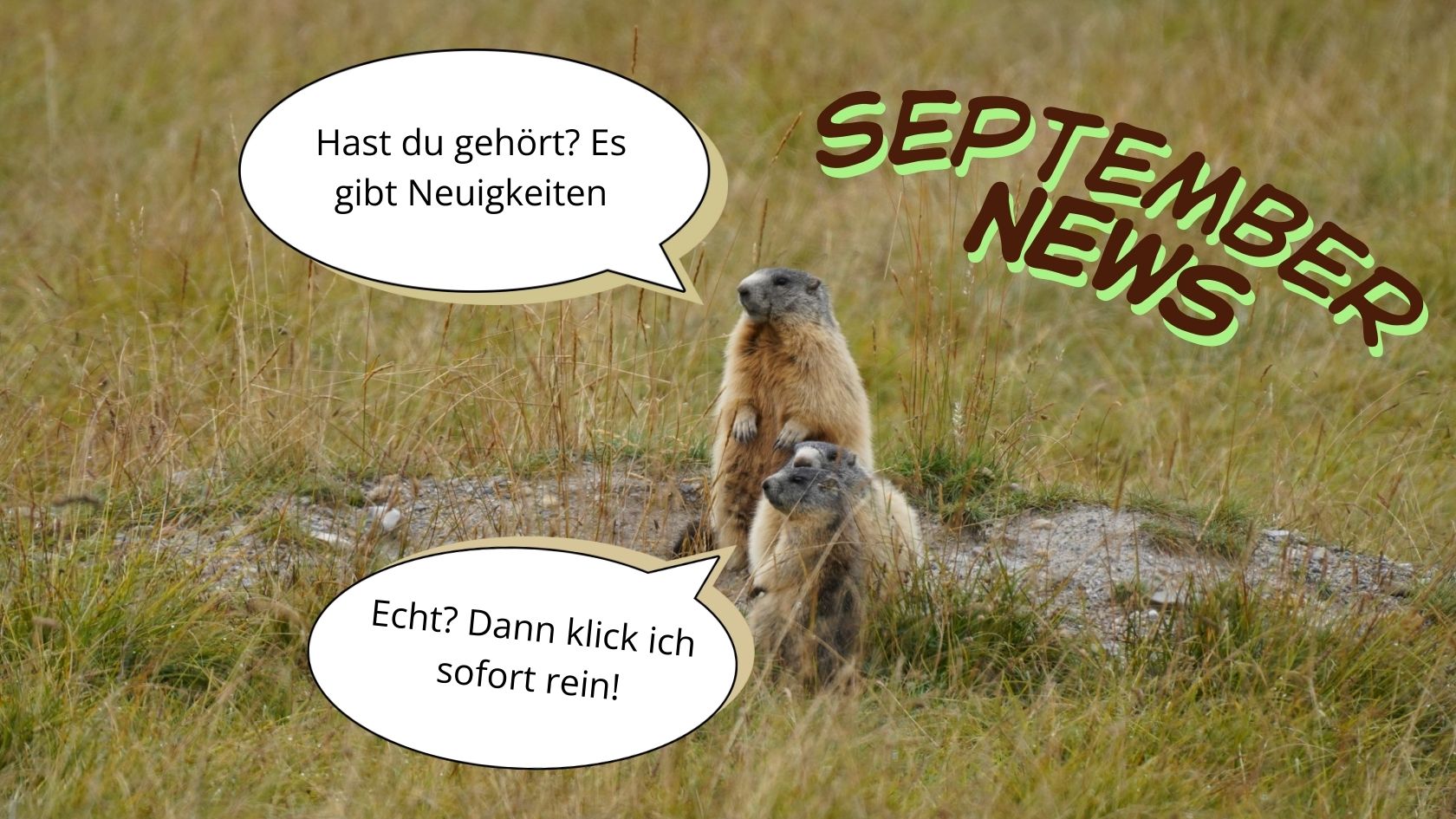 Monats News September 2025