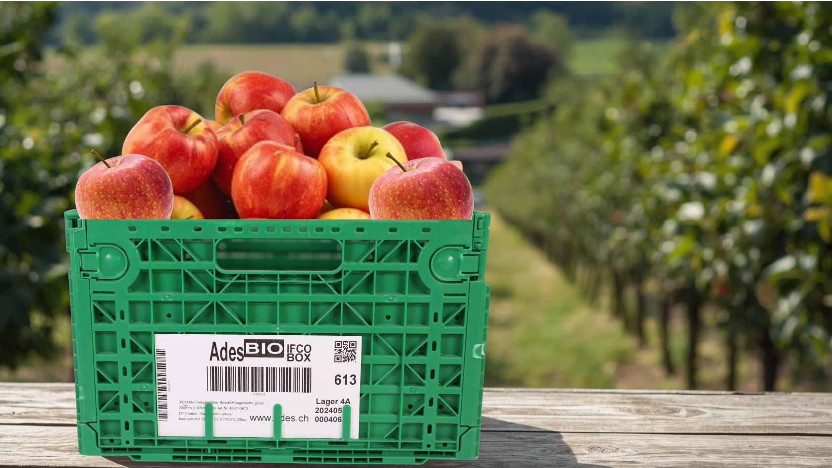 IFCO‑Boxen: Nachhaltige Verpackung für die Lebensmittelindustrie