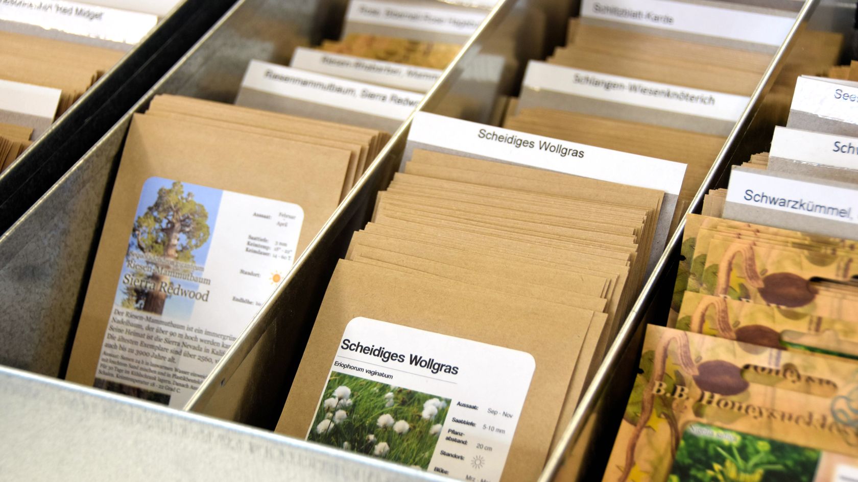 Farbig in den Frühling: Von der Tüte bis zur Ernte