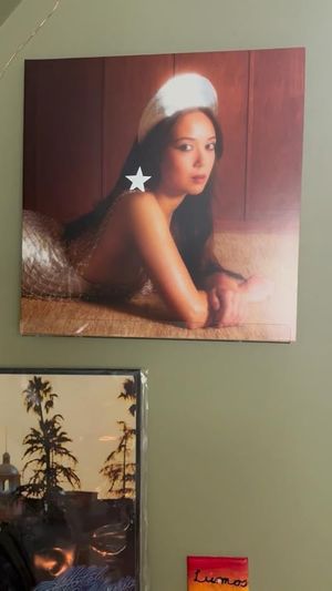Great and easy way to display your vinyls!