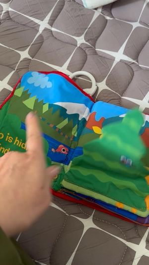The cutest book for baby development