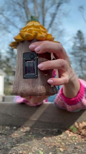 Light up your garden with a touch of magic!