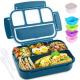 Shell and Turtle Bento Box Lunch Box, Navy