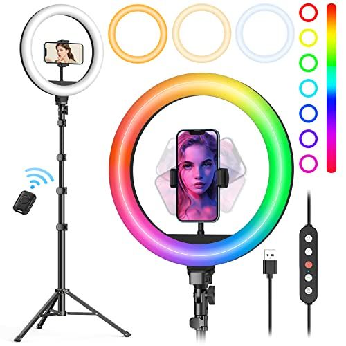 Weilisi 10" Ring Light with Stand and Phone Holder