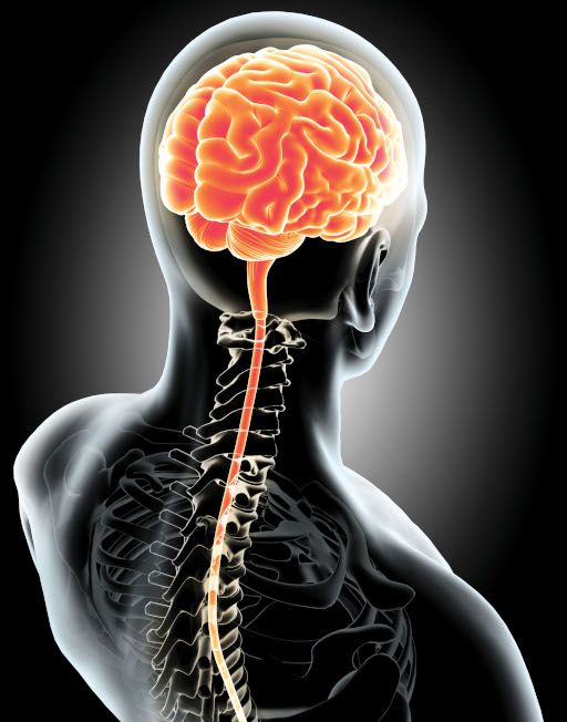 Imaging Image