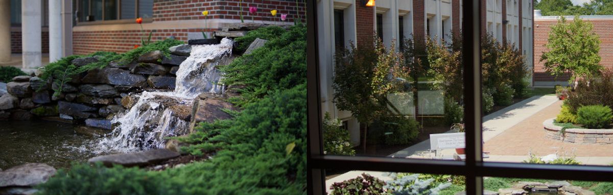 Healing Garden Image