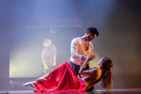 Galéria obrázok 25