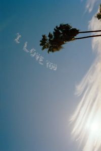 The words "I Love You" are written in the sky with skywriting above tall palm trees and a bright sun partially covered by wispy clouds.